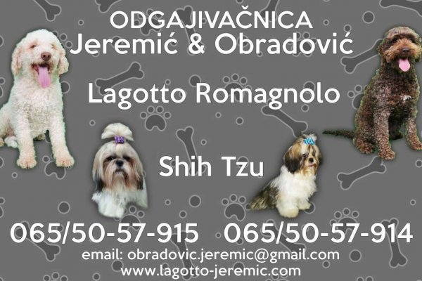 Где найти рабочую ссылку кракен