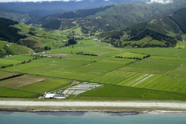 Сайт кракен онион