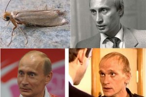 Кракен сайт в тор браузере ссылка